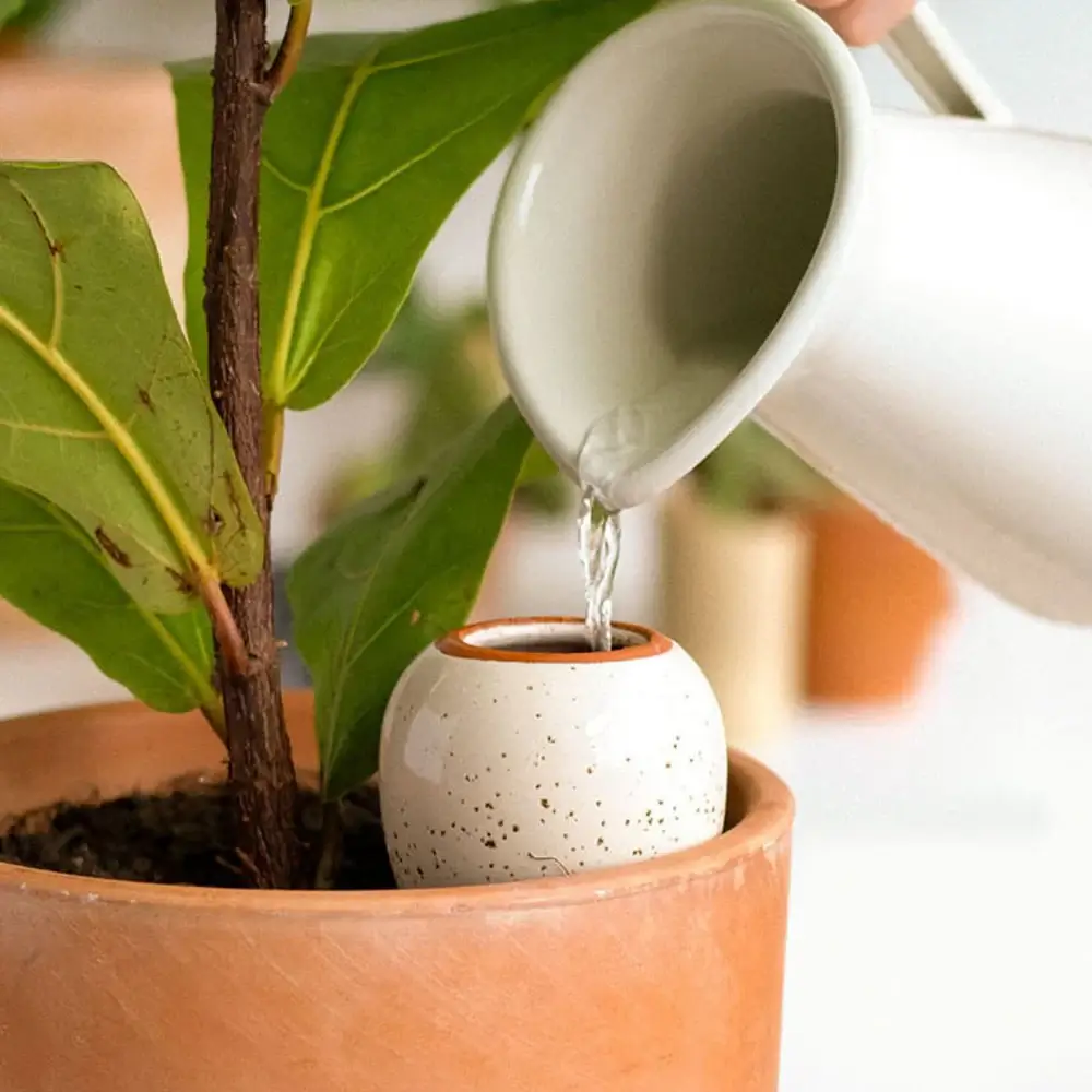 Olla pépin <em>Arrosage en terre cuite</em> – Image 2